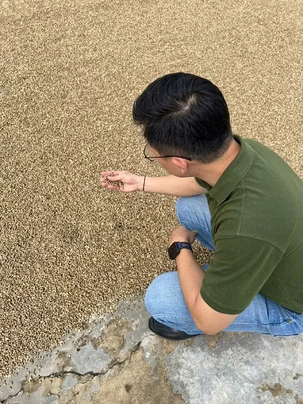 Natural Drying Process