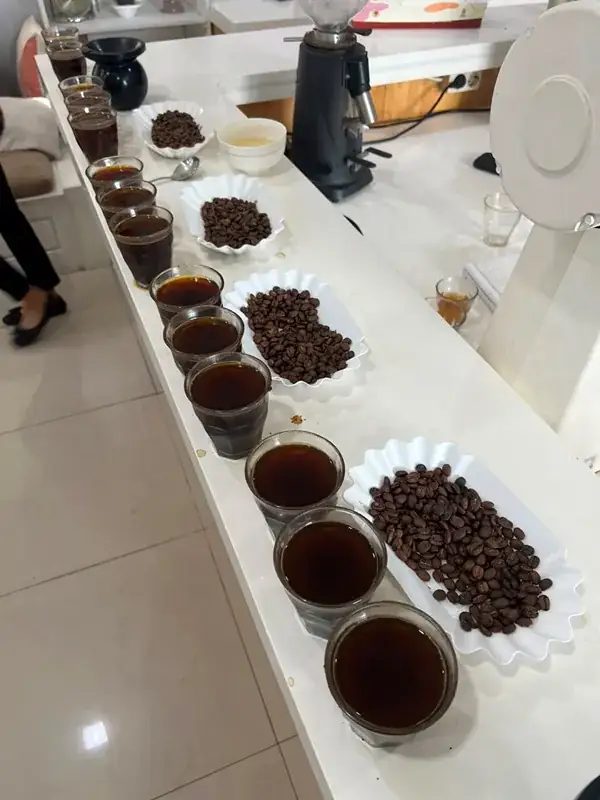 Fresh coffee cherries