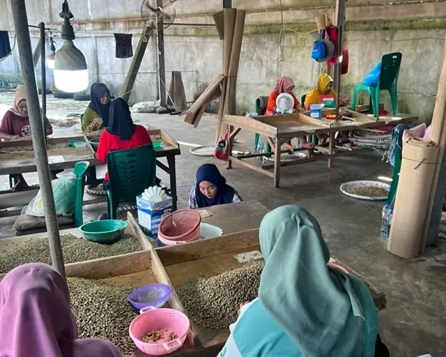 Green coffee beans processing at our facility