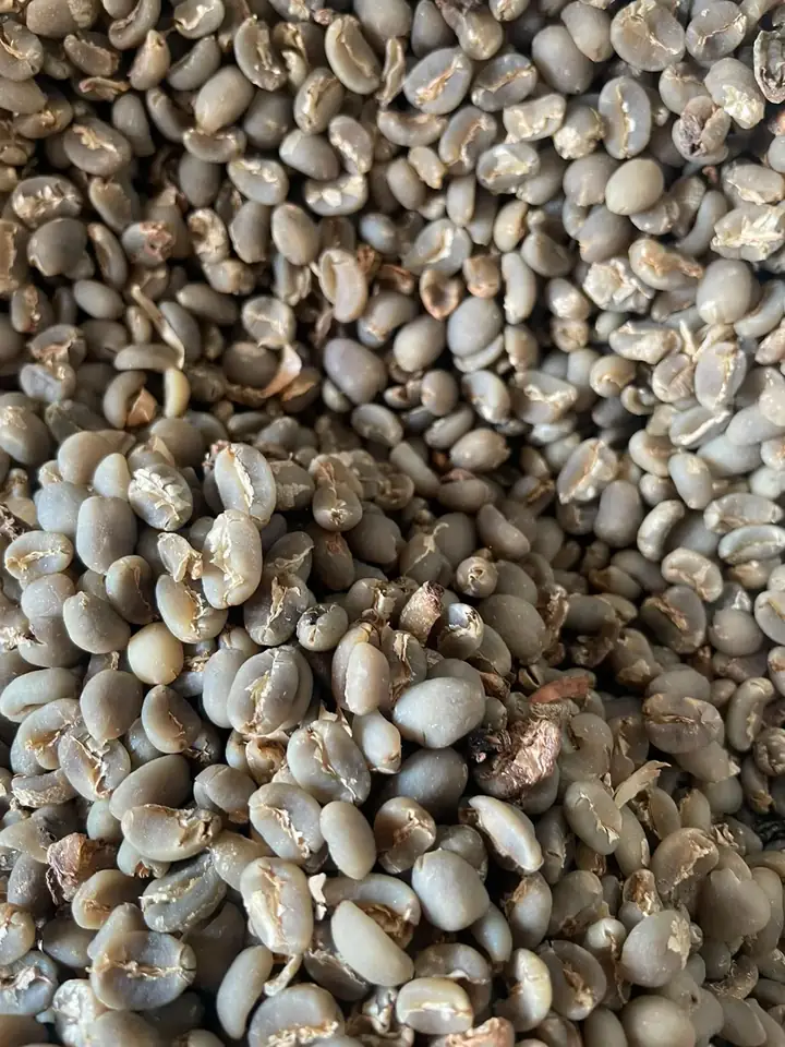 Arabica Gayo Grade 1