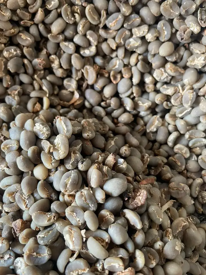 Arabica Gayo Grade 2