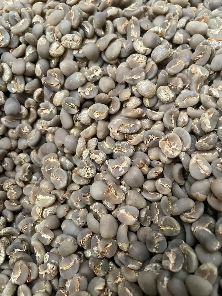 Arabica Lintong Grade 1
