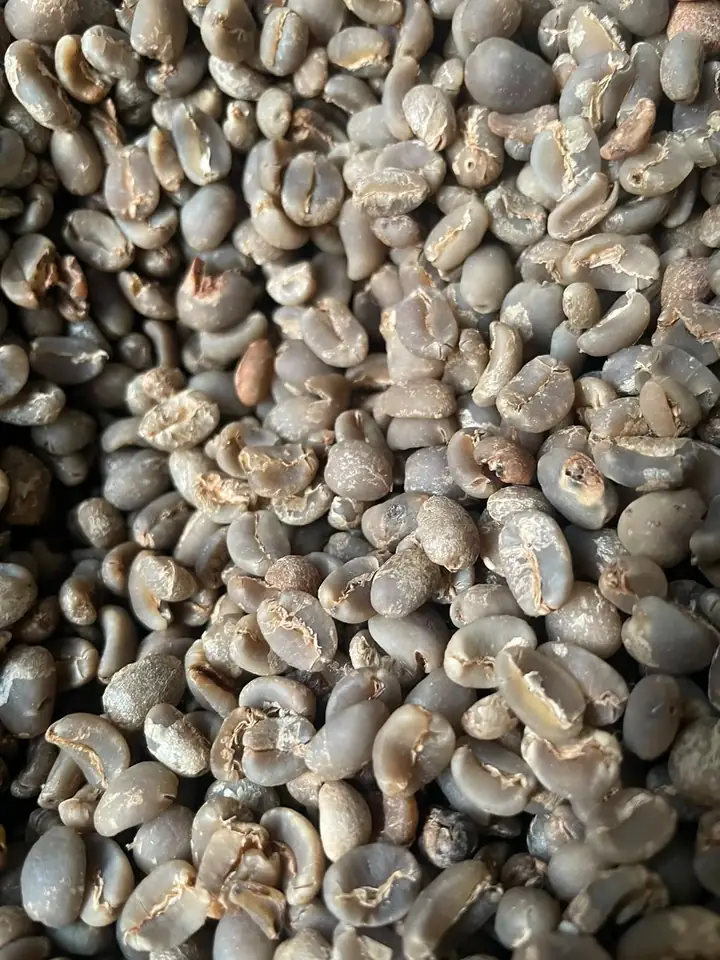 Arabica Mandheling Grade 2