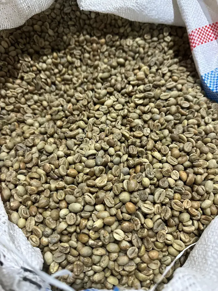 Robusta Java Grade 1