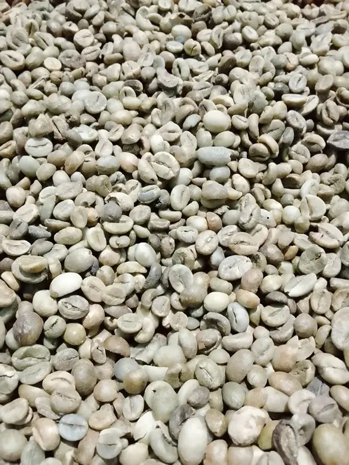 Robusta Java Grade 2