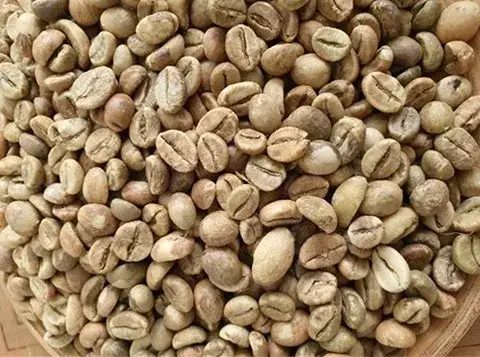 Robusta Sumatera Grade 1