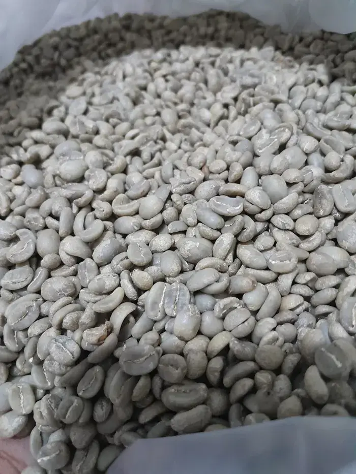 Arabica Flores Grade 1