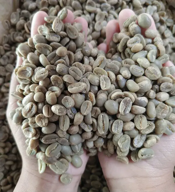Arabica Ijen Grade 1