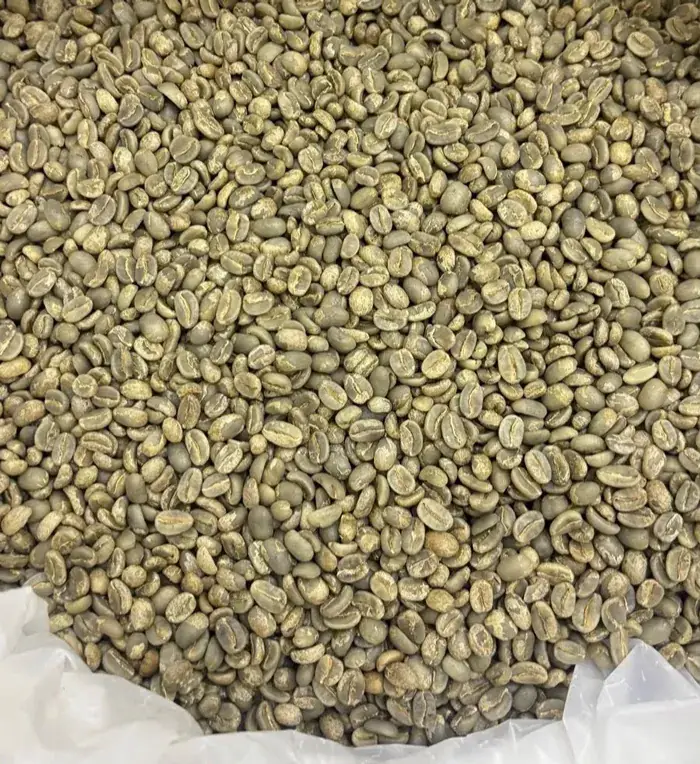 Arabica Kintamani Grade 1