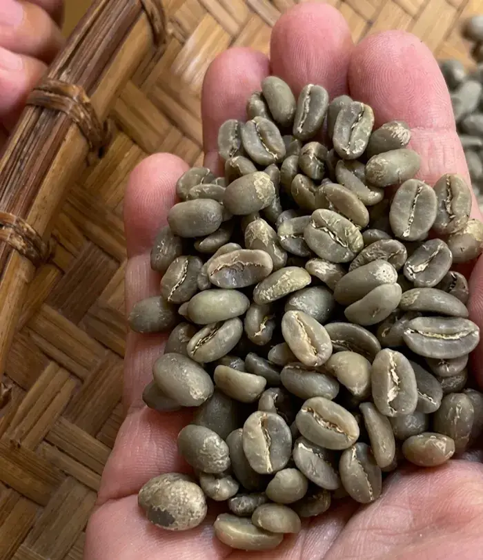Arabica Toraja Grade 1