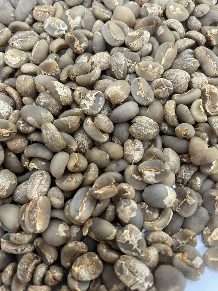 Arabica Sidikalang Grade 1